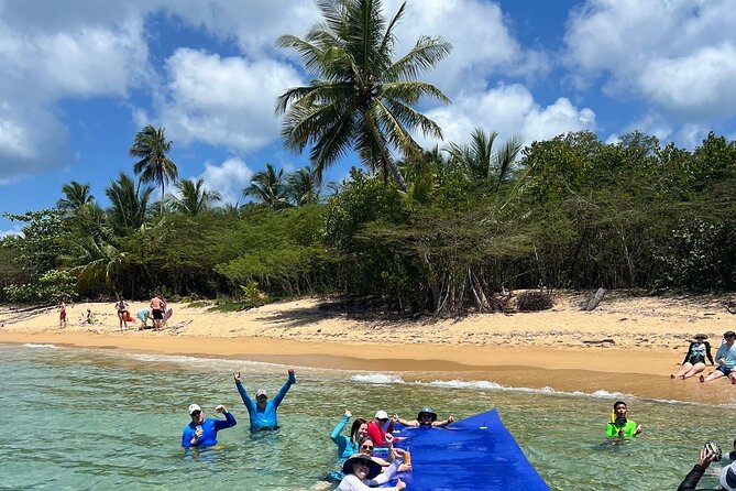 Vieques All-Inclusive: Swim with Turtles & Enjoy Pristine Beaches - Who should book this tour