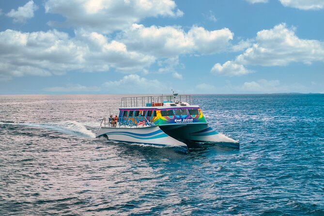 Vieques: Beach and Snorkeling Tour by Catamaran from Fajardo - From Marina Puerto Del Rey to Vieques, with El Yunque as your warm up