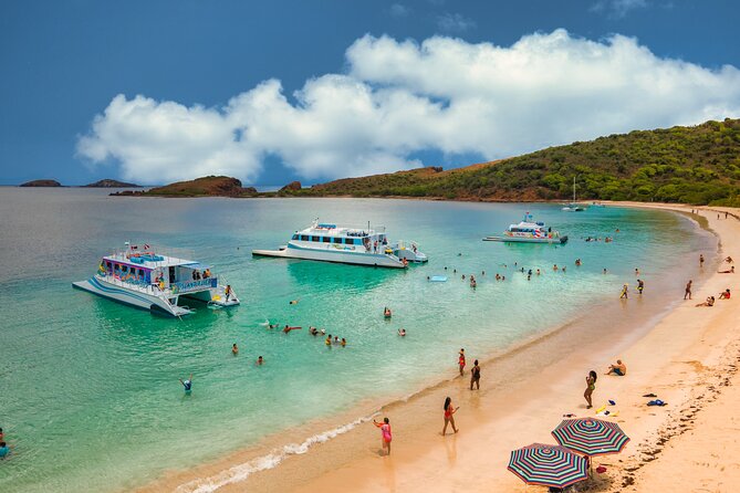 Vieques: Beach and Snorkeling Tour by Catamaran from Fajardo - Who should book this Vieques catamaran day?
