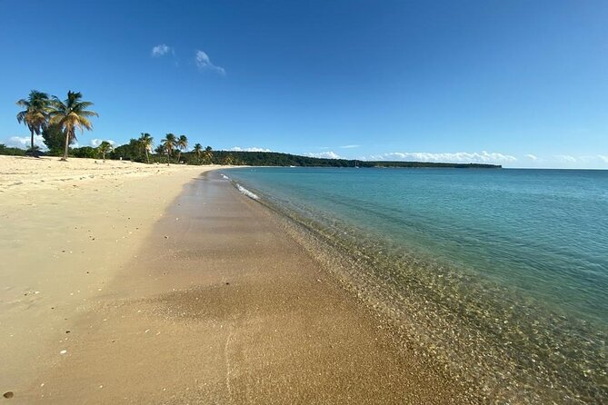 Vieques Bio Bay Tour and Beach Day Trip from San Juan by Ferry - Price and logistics: what $230 really covers