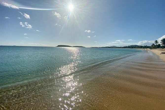 Vieques Bio Bay Tour and Beach Day Trip from San Juan by Ferry - Weather, the moon, and why timing matters for glowing water