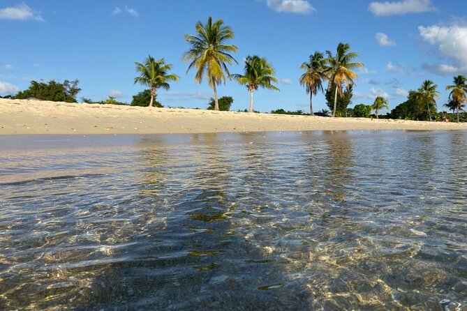 Vieques Bio Bay Tour and Beach Day Trip from San Juan by Ferry - Rafael’s role: keeping a long day from falling apart
