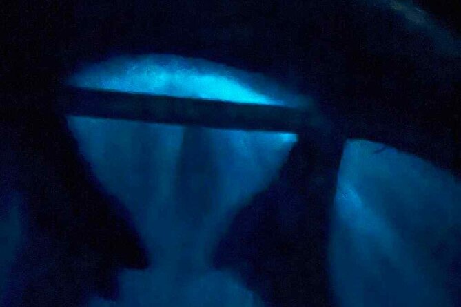 Vieques island Biobay Kayaking Tour - What makes Mosquito Bay glow: dinoflagellates, moonlight, and your timing