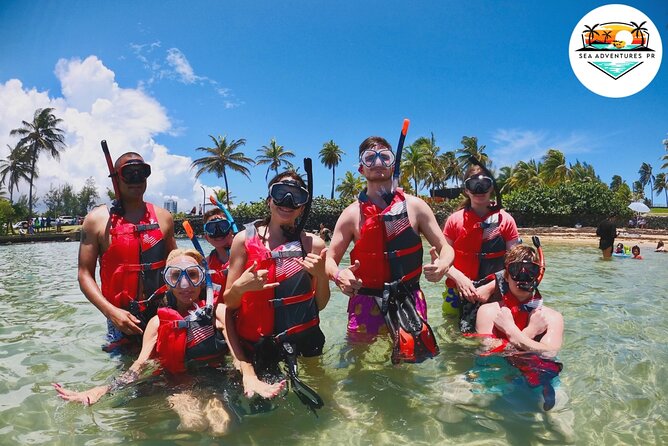 VIP San Juan: Snorkeling Tour with Turtles with Free Videos - A Shoreline Turtle Hunt in San Juan (No Boat Required)