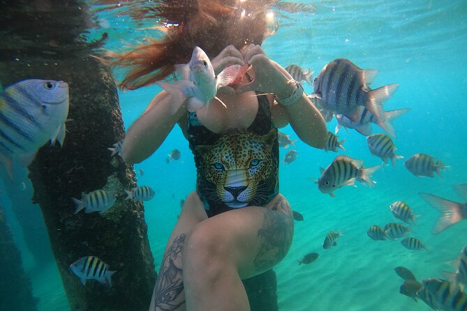 VIP San Juan: Snorkeling Tour with Turtles with Free Videos - The Free Videos: What You Get, and Why It’s Worth Paying Attention To