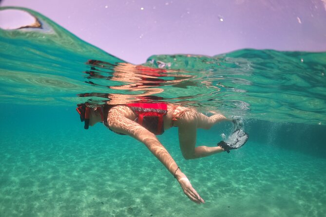 VIP San Juan: Snorkeling Tour with Turtles with Free Videos - Practical Tips to Get the Best Turtle Chances