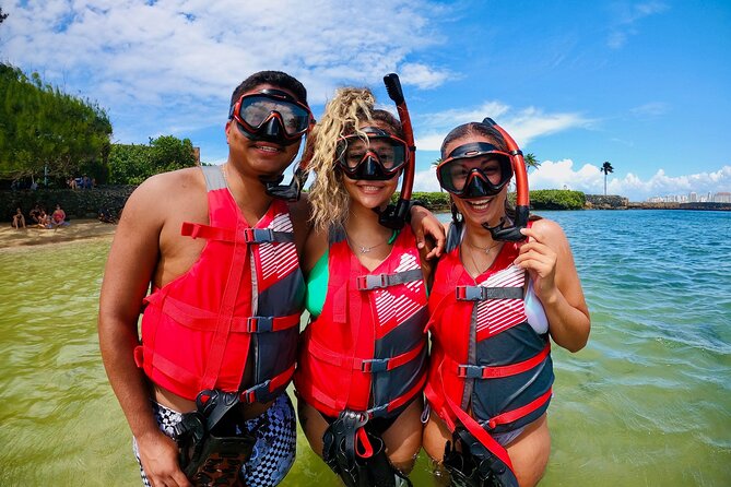 VIP San Juan: Snorkeling Tour with Turtles with Free Videos - Should You Book VIP San Juan Snorkeling With Turtles?