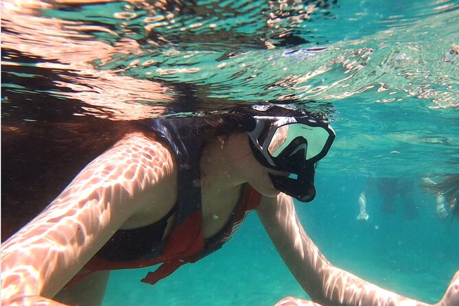 VIP San Juan: Snorkeling Tour with Turtles with Free Videos - What You’ll See Besides Turtles: Fish, Urchins, and Rare Extras