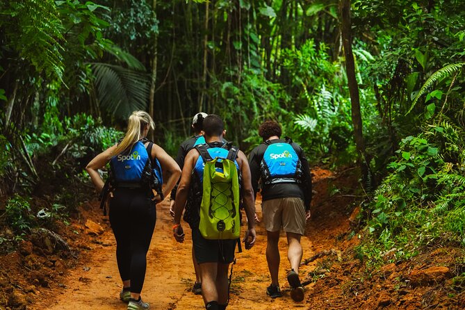 VIP Small Group El Yunque Rainforest Adventure - VIP Small Group El Yunque, the Day Plan That Actually Works