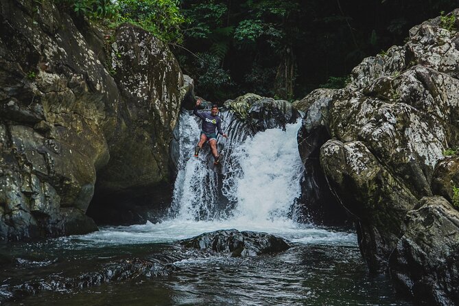 VIP Small Group El Yunque Rainforest Adventure - El Yunque National Forest: The 30 Minute Rainforest Hike