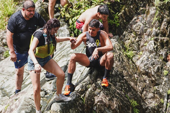 VIP Small Group El Yunque Rainforest Adventure - Getting Your Money’s Worth at $48