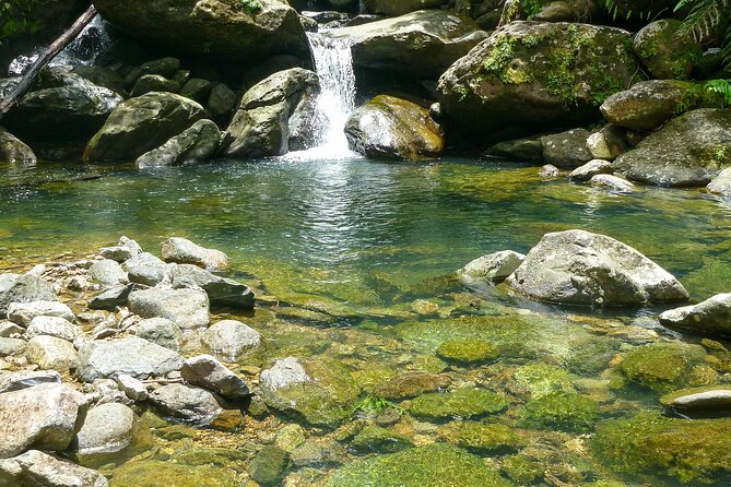 Waterfall Hike in Remote Area of El Yunque Rainforest; San Juan - Entering El Yunque From Condado, Without the Stress