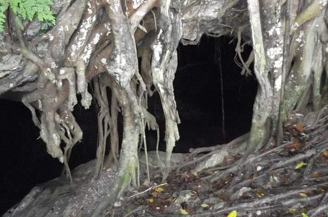 Window Cave Walking Tour from San Juan - The window view over the Río Grande de Arecibo and the Caribbean Sea