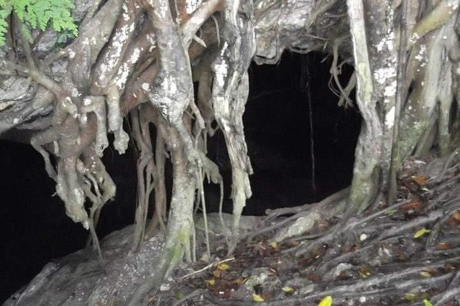 Window Cave Walking Tour from San Juan - Who should book, and who should think twice
