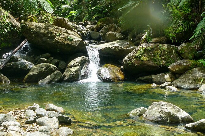 Yunque & Piñones Tour Hike Eat & Adventure with a Local; San Juan - Key highlights worth planning for