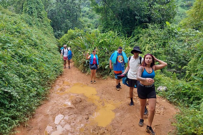 Yunque Rainforest Tour in Puerto Rico - What the $69 Price Covers, and Why It Feels Fair