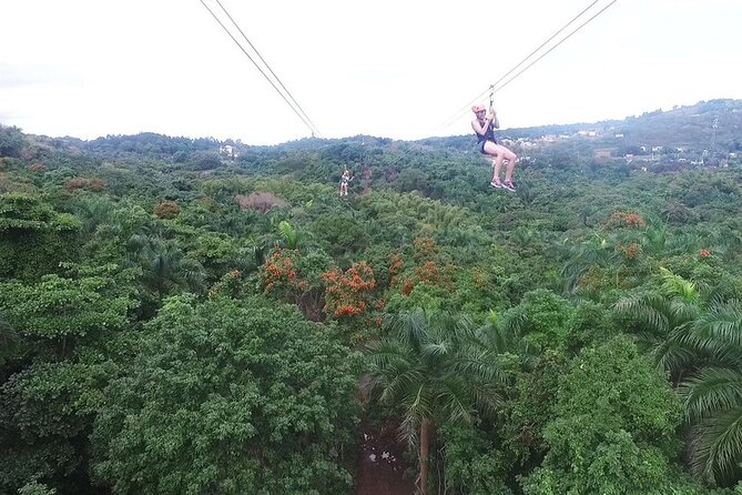 Zipline Canopy Tour with Transport from San Juan - Key points before you book