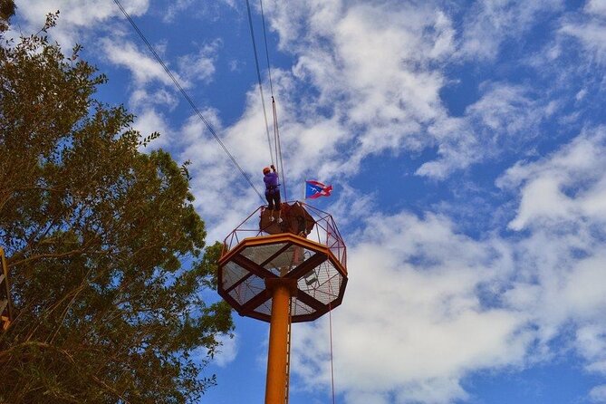 Zipline Canopy Tour with Transport from San Juan - Rainforest views from above: what you’re actually seeing