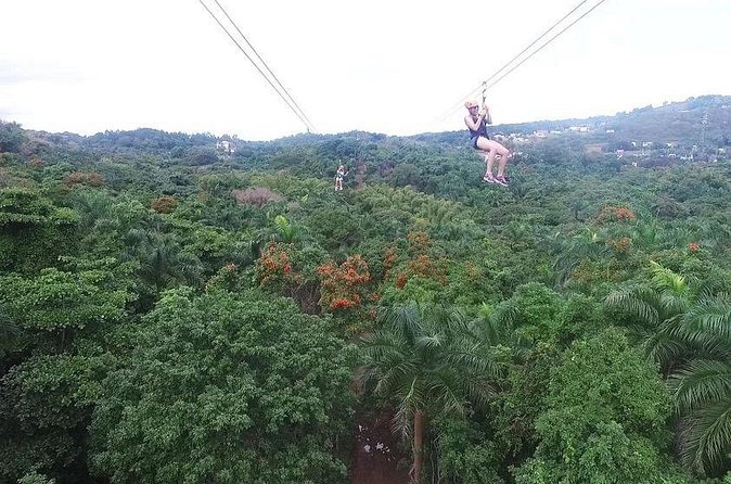 Zipline Canopy Tour with Transport from San Juan - Stairs, towers, and health limits you should take seriously