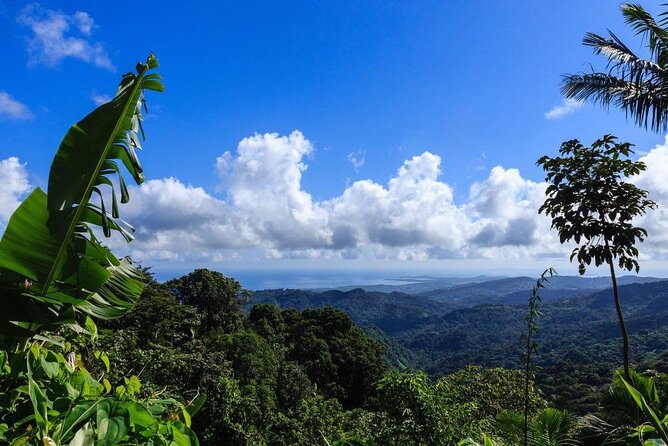 Zipline Canopy Tour with Transport from San Juan - Timing, small-group flow, and avoiding the most common hiccups