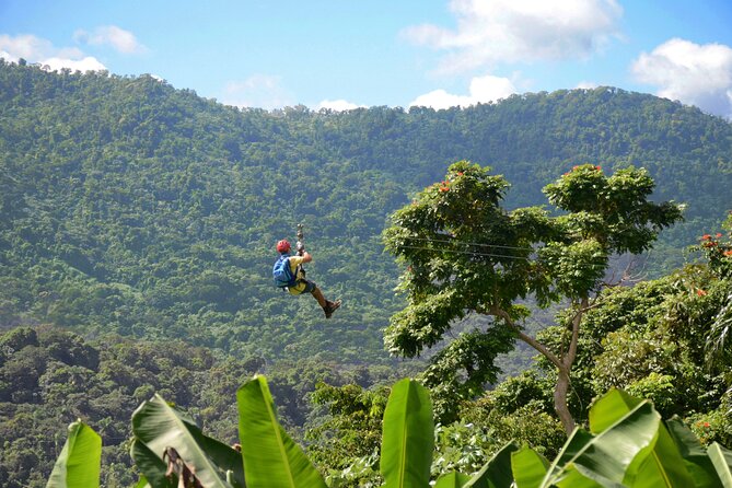 Ziplining at the Rainforest in Puerto Rico - Why Luquillo Rainforest Ziplining Feels Like More Than a Theme Park Ride