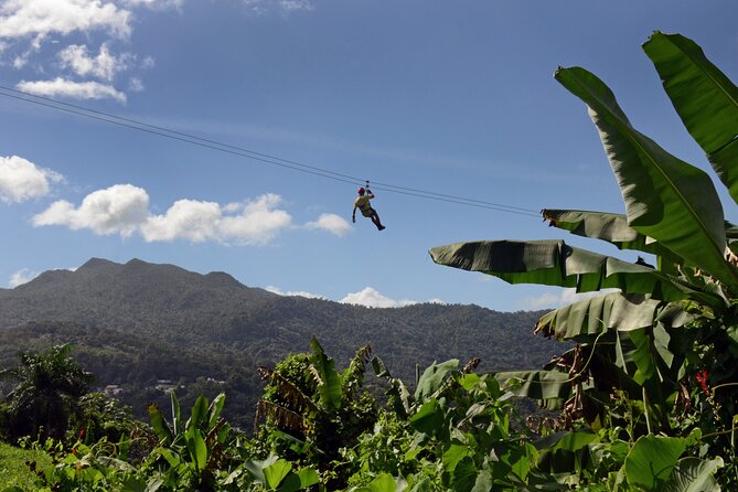 Ziplining at the Rainforest in Puerto Rico - Guide-Led Safety in the Rainforest, With Certified Teams and Real Instruction
