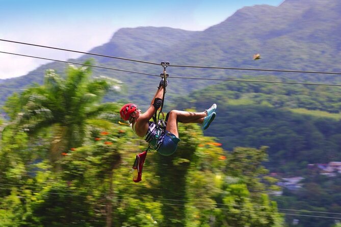 Ziplining at the Rainforest in Puerto Rico - Timing That Lets You Keep Your Day: Morning or Afternoon Sessions