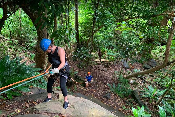 Ziplining at the Rainforest in Puerto Rico - Location Reality: Luquillo, El Yunque Views, and How to Pair It With Other Day Plans