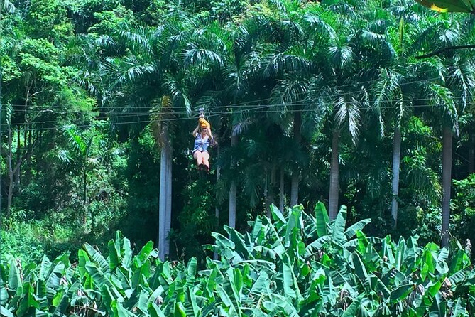 Ziplining at the Rainforest in Puerto Rico - Price and Value: What You Get for $149 Per Person
