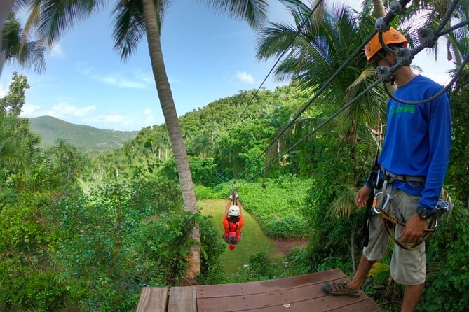 Ziplining at the Rainforest in Puerto Rico - Who Should Book, and Who Might Want a Different Rainforest Day