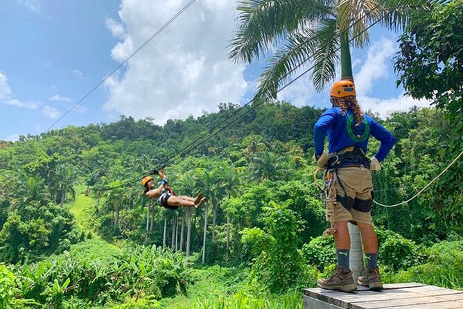 Ziplining at the Rainforest in Puerto Rico - Should You Book Ziplining at the Rainforest in Puerto Rico?