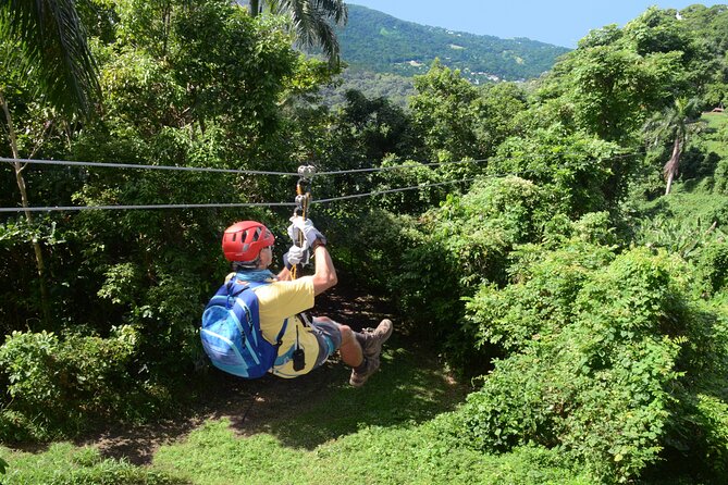 Ziplining at the Rainforest in Puerto Rico - What the Walking Really Feels Like: Uneven Terrain and Moderate Fitness
